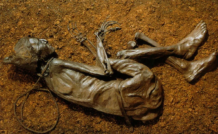 Os restos do Homem Tollund em exibição em um museu. Apenas a cabeça é original; o resto do corpo dele é uma réplica.